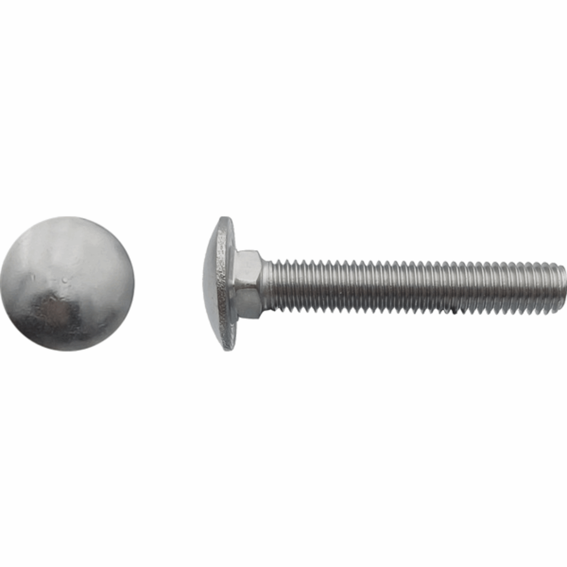 Vis TRCC tête ronde collet carré Inox A2