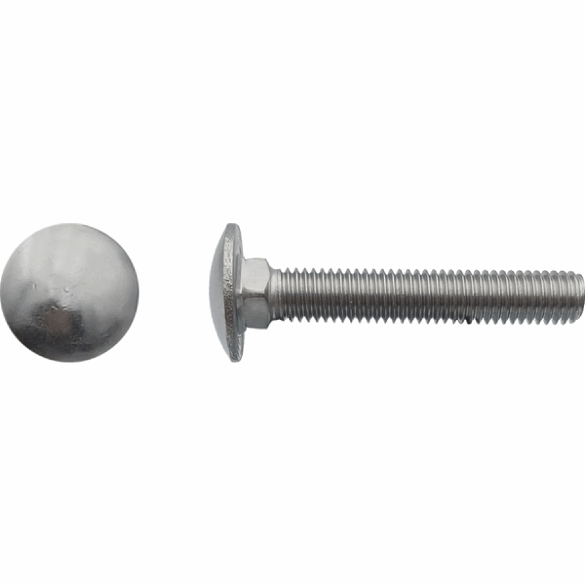Vis TRCC tête ronde collet carré Inox A2