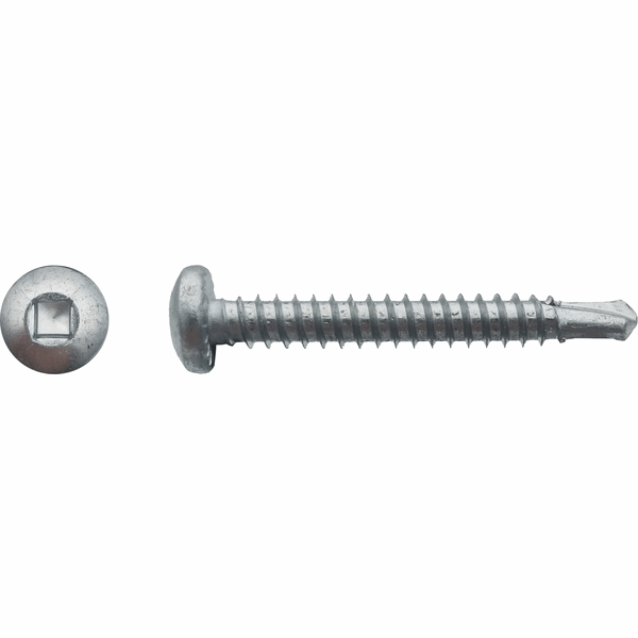 Vis autoperceuse tête cylindrique empreinte carrée Zingué blanc