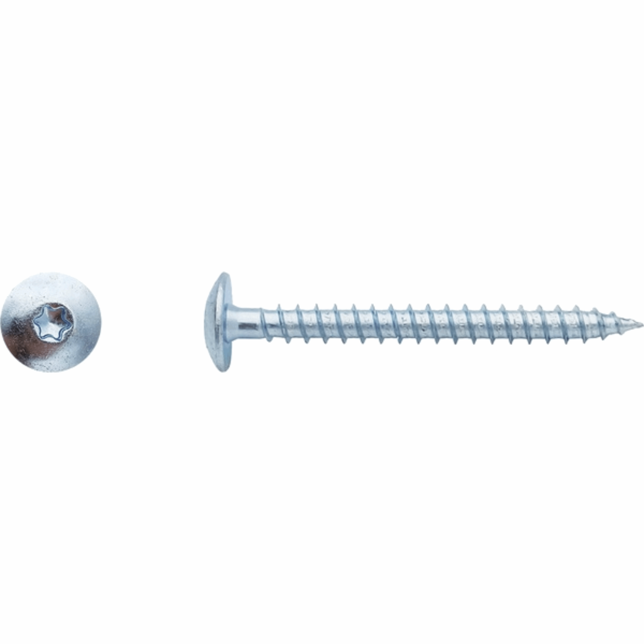 Vis penture torx Zingué blanc 