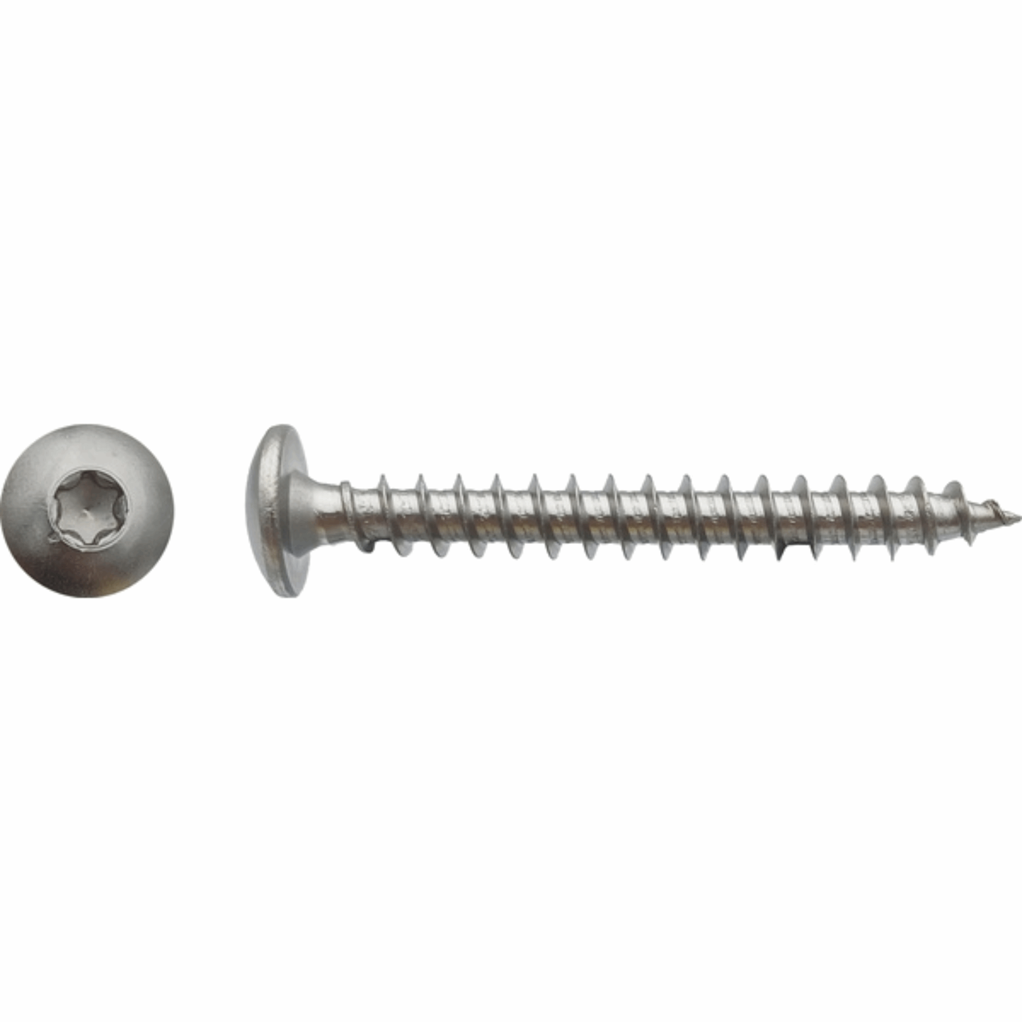 Vis pour penture torx Inox A2 - Ø6