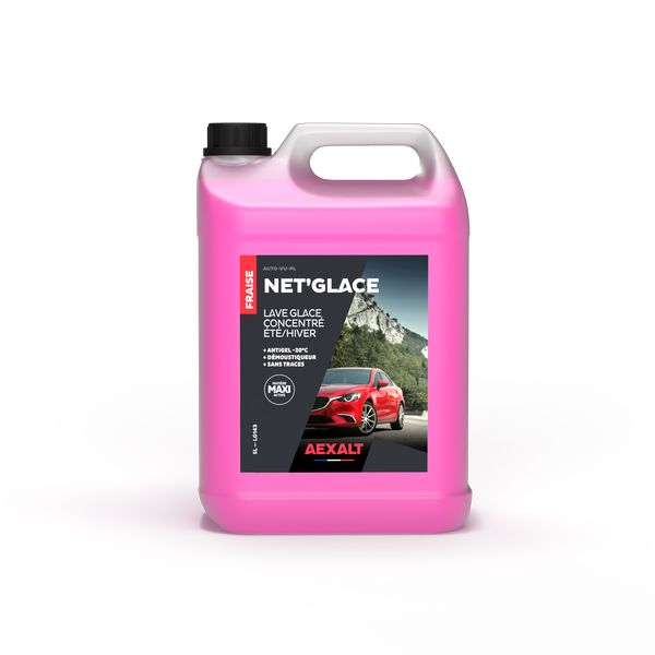 lave glace été/hiver concentré NET'GLACE Bidon 5 litres