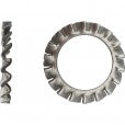 Rondelle éventail à dentures extérieures AZ Inox A2