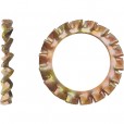 Rondelle éventail à dentures extérieures Zingué bichromaté