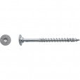Vis charpente bois FWx tête cylindrique plate torx Zingué - Ø10